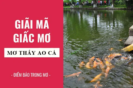 Giải mã giấc mơ: Mơ thấy ao cá, ao hồ, bắt cá điềm báo gì, lành hay dữ? con số liên quan