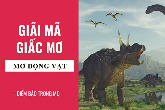 Giải mã giấc mơ: Nằm mơ động vật, linh vật điềm báo gì, lành hay dữ? con số liên quan