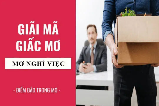 Giải mã giấc mơ: Nằm mơ nghỉ việc, bị đuổi việc điềm báo gì, lành hay dữ? con số liên quan