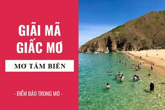 Giải mã giấc mơ: Nằm mơ tắm biển, bãi biển điềm báo gì, lành hay dữ? con số liên quan