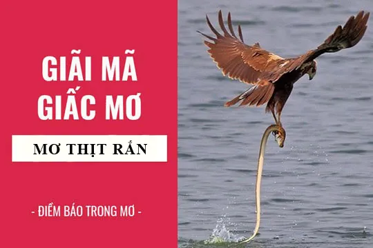 Giải mã giấc mơ: Nằm mơ thấy ăn thịt rắn điềm báo gì, lành hay dữ? con số liên quan