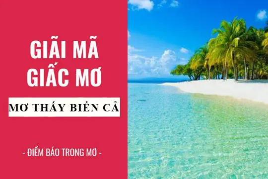 Giải mã giấc mơ: Nằm mơ thấy biển cả, biển nước dâng điềm báo gì, lành hay dữ? con số liên quan