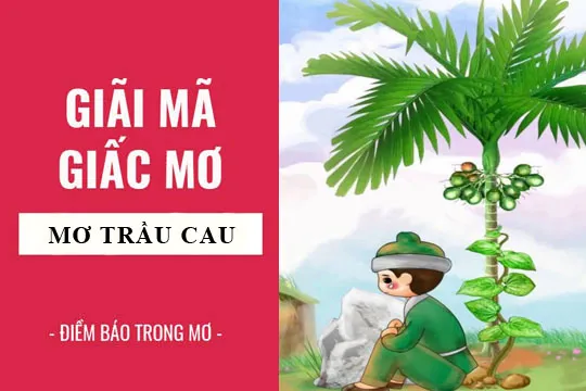 Giải mã giấc mơ: Nằm mơ thấy buồng cau, lá trầu điềm báo gì, lành hay dữ? con số liên quan