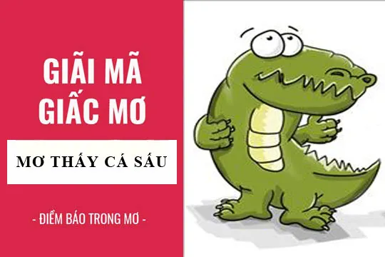 Giải mã giấc mơ: Nằm mơ thấy cá sấu điềm báo gì, lành hay dữ? con số liên quan