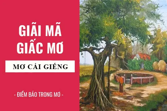 Giải mã giấc mơ: Nằm mơ thấy cái giếng nước điềm báo gì, lành hay dữ? con số liên quan