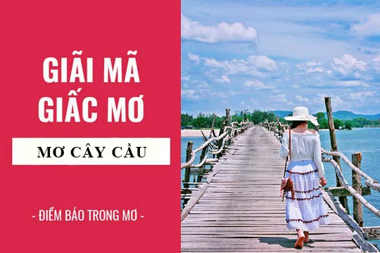 Giải mã giấc mơ: Nằm mơ thấy cây cầu điềm báo gì, lành hay dữ? con số liên quan