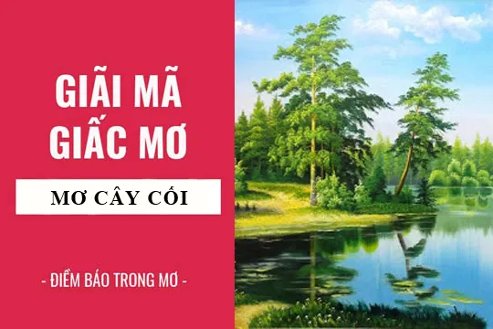 Giải mã giấc mơ: Nằm mơ thấy cây cối điềm báo gì, lành hay dữ? con số liên quan