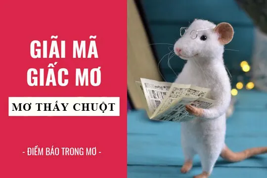 Giải mã giấc mơ: Nằm mơ thấy chuột, chuột bạch, chuột cắn điềm báo gì, lành hay dữ? con số liên quan