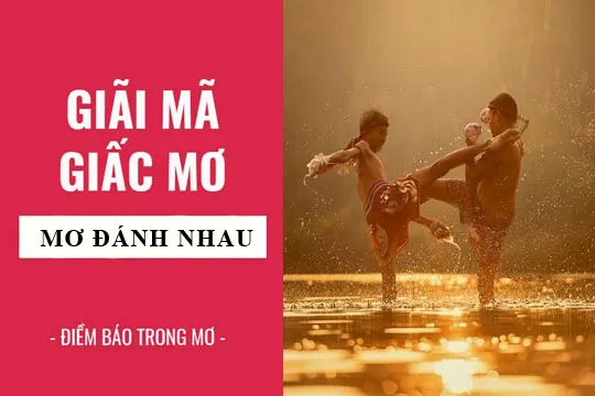 Giải mã giấc mơ: Nằm mơ thấy đánh nhau điềm báo gì, lành hay dữ? con số liên quan