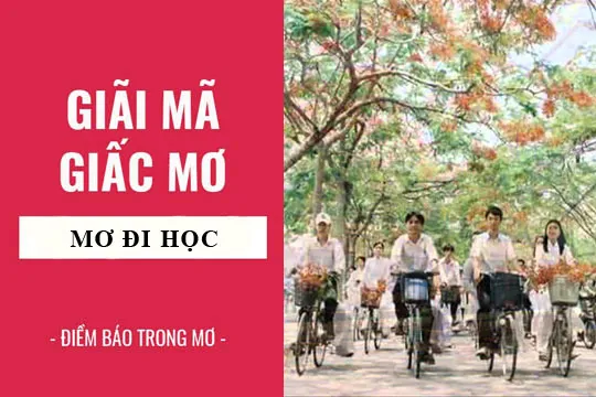 Giải mã giấc mơ: Nằm mơ thấy đi học, nghỉ học, trốn học điềm báo gì, lành hay dữ? con số liên quan