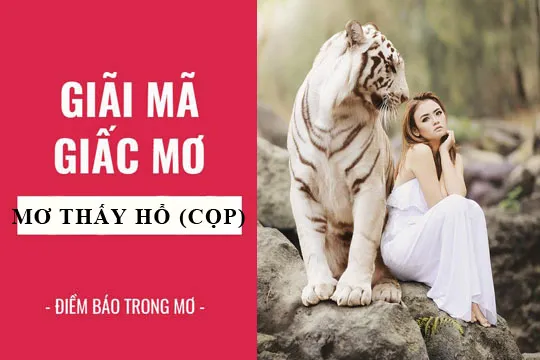 Giải mã giấc mơ: Nằm mơ thấy hổ (cọp) điềm báo gì, lành hay dữ? con số liên quan