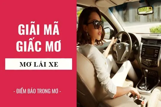 Giải mã giấc mơ: Nằm mơ thấy lái xe điềm báo gì, lành hay dữ? con số liên quan