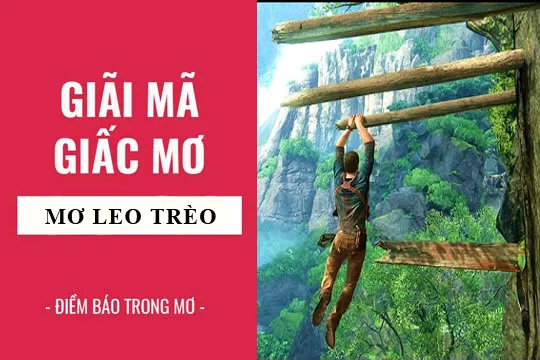 Giải mã giấc mơ: Nằm mơ thấy leo trèo, leo cây điềm báo gì, lành hay dữ? con số liên quan