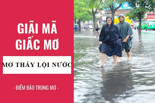 Giải mã giấc mơ: Nằm mơ thấy lội nước, bơi dưới nước điềm báo gì, lành hay dữ? con số liên quan