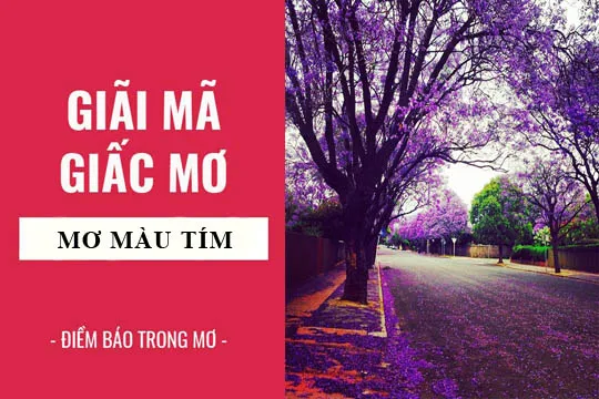 Giải mã giấc mơ: Nằm mơ thấy màu tím điềm báo gì, lành hay dữ? con số liên quan