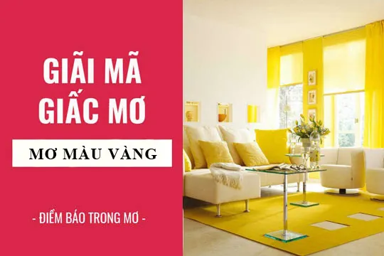 Giải mã giấc mơ: Nằm mơ thấy màu vàng, màu sắc điềm báo gì, lành hay dữ? con số liên quan