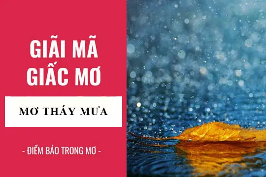 Giải mã giấc mơ: Nằm mơ thấy mưa, mưa bão điềm báo gì, lành hay dữ? con số liên quan