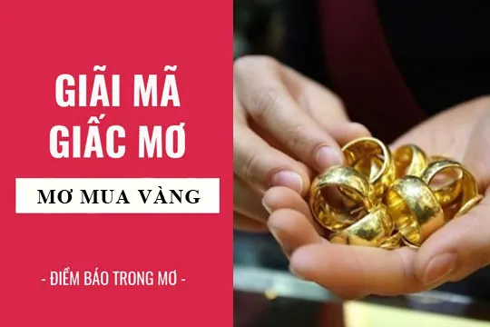 Giải mã giấc mơ: Nằm mơ thấy mua vàng, mất vàng, nhặt vàng điềm báo gì, lành hay dữ? con số liên quan