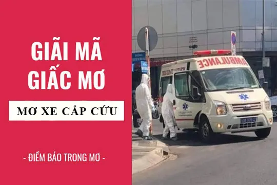 Giải mã giấc mơ: Nằm mơ thấy xe cấp cứu, cứu thương điềm báo gì, lành hay dữ? con số liên quan