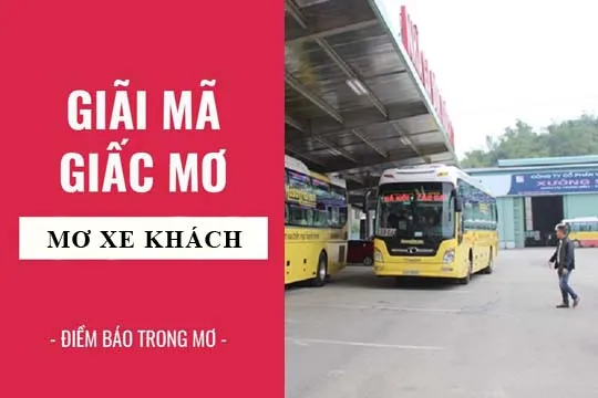 Giải mã giấc mơ: Nằm mơ thấy xe khách, nhà xe điềm báo gì, lành hay dữ? con số liên quan