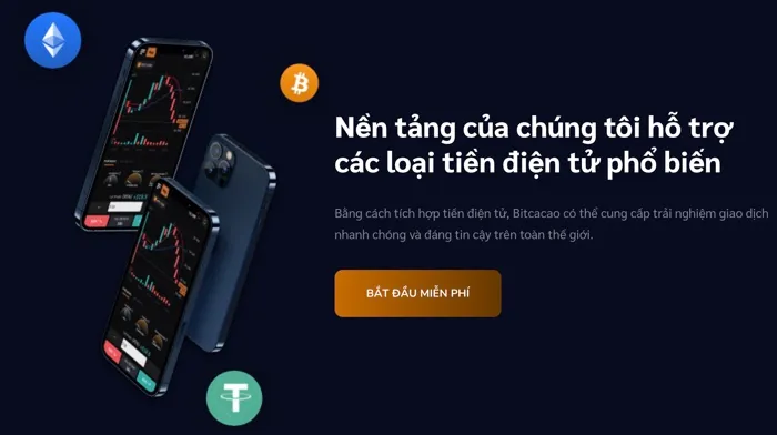 Bitcacao Là Gì? ⚡️ Sàn Bitcacao Có Lừa Đảo Người Dùng Không?