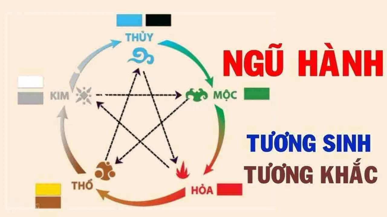 Hướng Dẫn Cách Học Tử Vi Cơ Bản Cho Người Mới Bắt Đầu