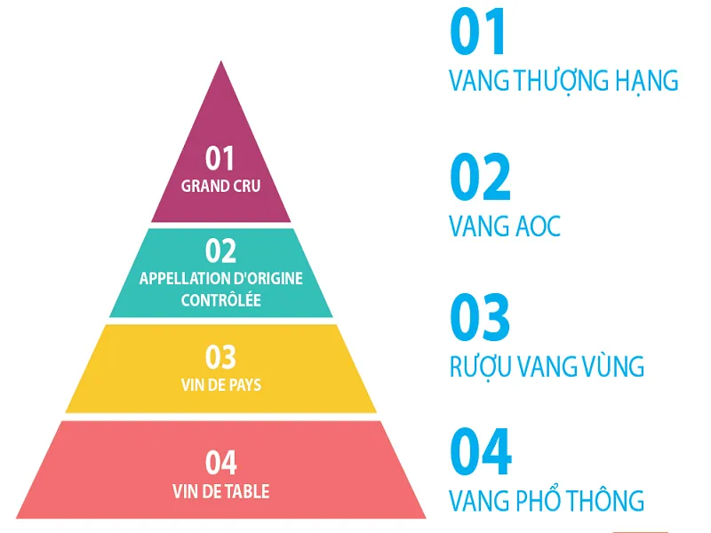 Hướng Dẫn Cách Phân Loại Rượu Vang Pháp Chi Tiết Từ A – Z