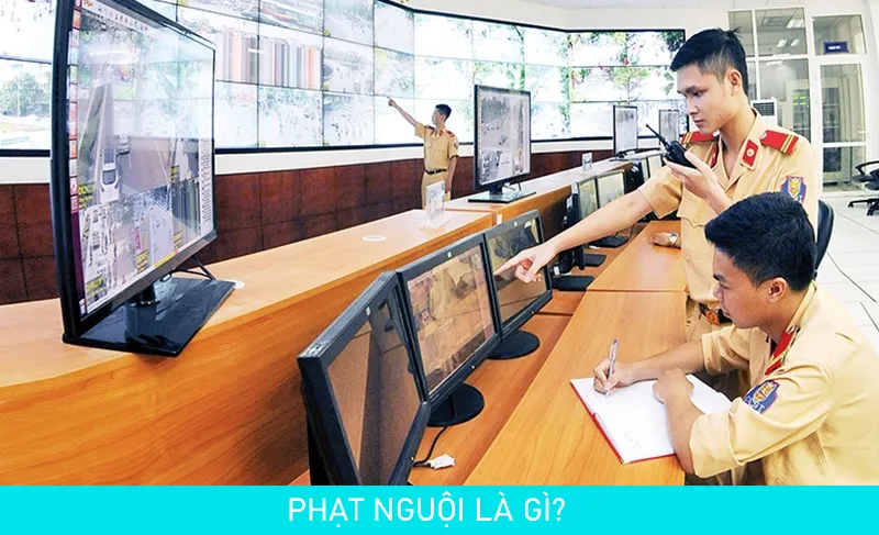 Lạnh là gì? Truy vấn phạt toàn quốc, truy vấn phạt trực tuyến