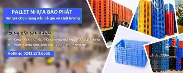 top 10 công ty bán pallet nhựa hà nội, pallet nhựa, pallet nhựa cũ, pallet nhựa lót sàn, mua pallet nhựa, tấm pallet nhựa, pallet nhựa duy tân, pallet nhựa hà nội, pallet nhựa giá bao nhiêu, pallet, pallet jack, pallet jack wood