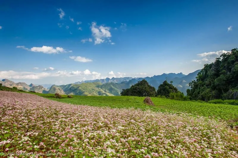 Top 10 Địa Điểm Du Lịch Nổi Tiếng Tại Hà Giang