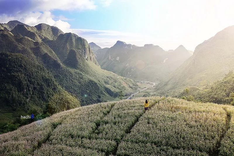 Top 10 Địa Điểm Du Lịch Tỉnh Hà Giang – Bạn Không Thể Bỏ Lỡ – Toidi.net