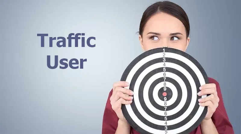 Traffic User Là Gì? ⚡️ Có Bao Nhiêu Công Cụ Để Tăng Traffic User?